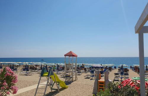 Gabbiano Jonathan - Foto 7