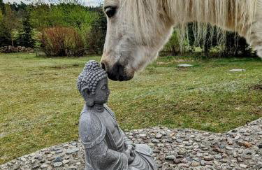 Hacienda Natura Agroturystyka - Photo 20