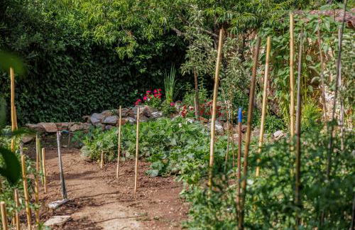 Casa Rural en Galaroza - Foto 48