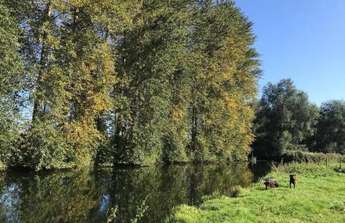 Locks Lane Cottage - Photo 27
