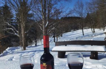 Sauerland Alm Winterberg 5 - Photo 22