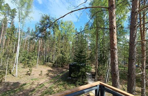 Zdalnie z Lasu - Siedlisko w Puszczy Białowieskiej - Foto 33