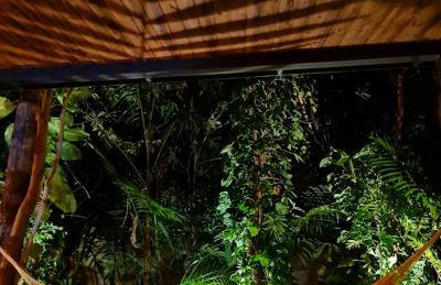 Casa jardim com ofurô - Chapada dos veadeiros - Foto 25