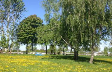 Ferienwohnung Zweinig 01 - Foto 19