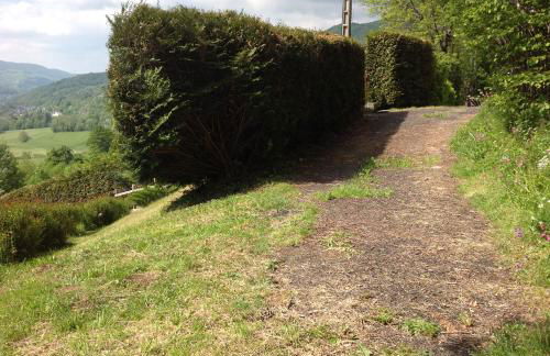 Chalet avec vue panoramique sur le Plomb du Cantal - Foto 21