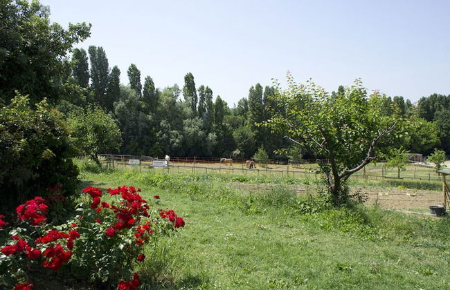 Agriturismo Case Mori - Foto 25