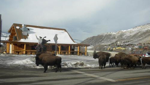 Cowboy's Lodge - Foto 2