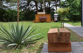 Dom w lesie przy stawach - Foto 13