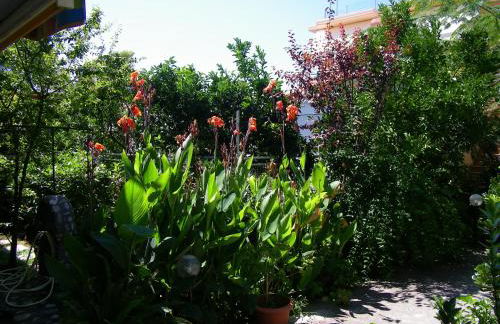 Drosia Studios - Λυμπερόπουλος - Foto 13