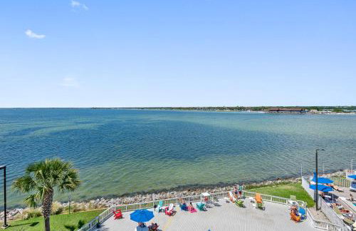 Sunset Paradise - Find yourself in Tampa - Photo 27