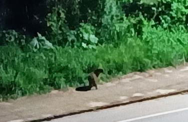 Studio Flat Casal com ar condicionado - Foto 20