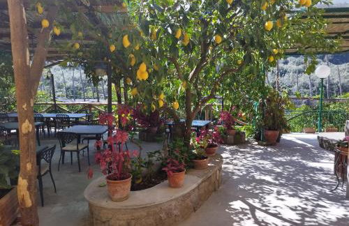 Agriturismo La Lobra - Foto 140