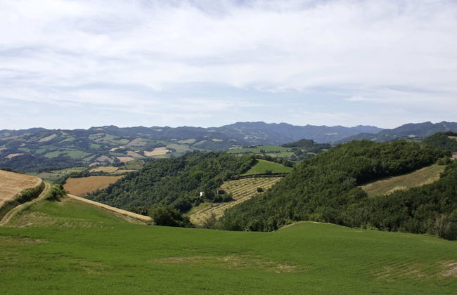 Rural Retreat in Sassoleone - Foto 37