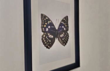 Le Mangin - Studio avec terrasse - Foto 8