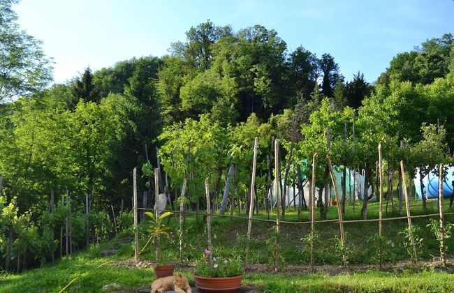 Belvilla by Oyo Pradaccio - Foto 32