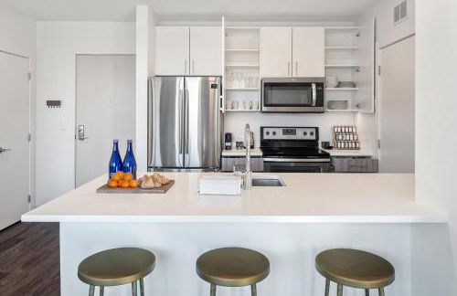 Hyatus Luxury Residences Boston South Bay Designer Collection - Photo 32