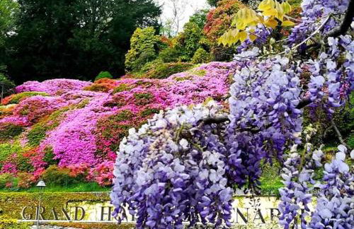 Residence Belvedere Apartment Bolvedro - Foto 47