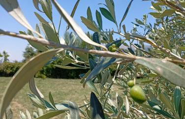 Rural hοuse - Foto 30