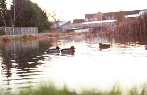 Long Eaton Cosy Homestay Close to Town & Station - Foto 41