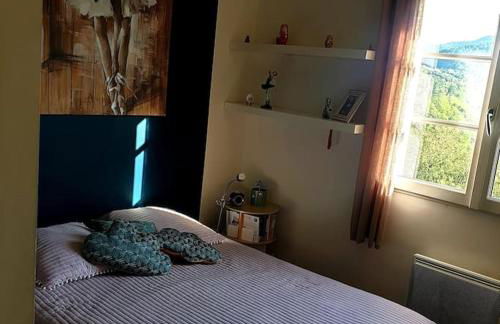 Magnifique villa au cœur des Cévennes - Foto 12