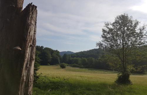 ferienwohnungen.ruhla - Foto 22