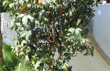 Paradise Bar Apartments - Photo 52