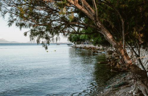 Aqua Lora - Photo 59