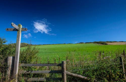 Sea the Stars - Photo 26