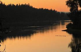 Blue Heron Sanctuary & Serene, river-front cottage - Foto 54