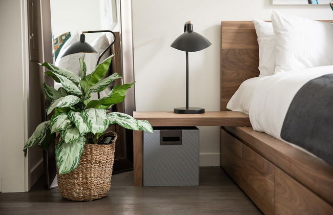 Domicile Suites at Marina SLU - Photo 13