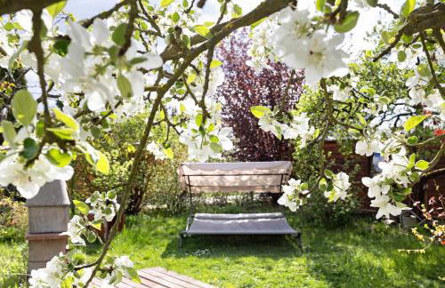 Blockhütte - Foto 22