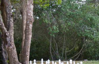 Finca Ses Eres - Foto 17