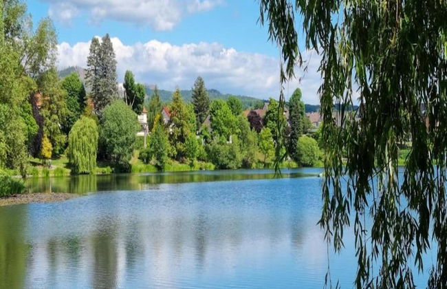 Cosy Holiday Home in the Harz Region - Foto 79