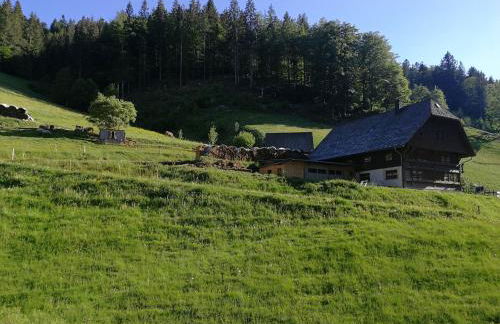 Ferienwohnung Glashütte - Foto 28
