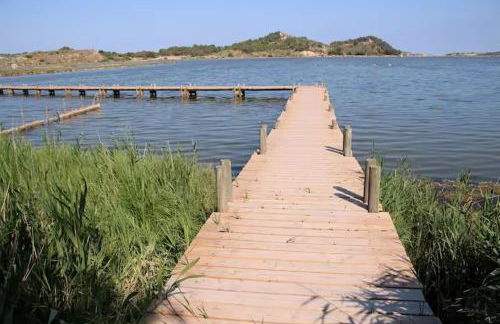 Bouddha Fleurs de Lotus - Foto 18