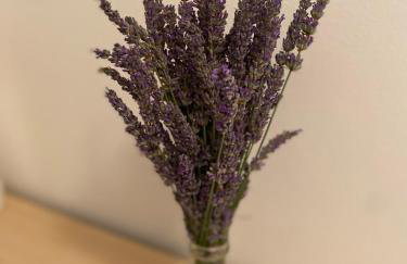 app OLIVER MALINSKA - Foto 41