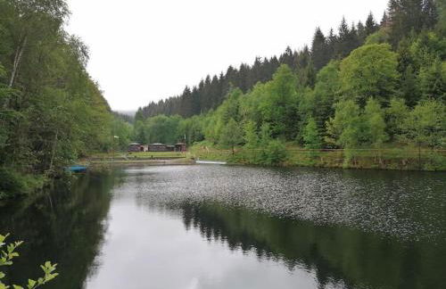 Ferienhaus am Waldschwimmbad - Foto 23