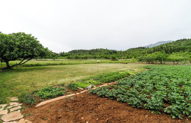 Apartments Dubrovnik Banac - Photo 34