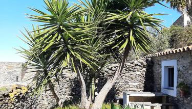 Casas Letizia e Sebastião - Foto 4, Garden, Garden view