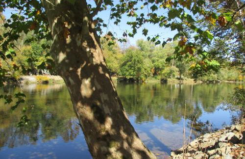 Historic cabin off I-77, views, antiques, Wi-fi, wonderful experience for 2! - Foto 32