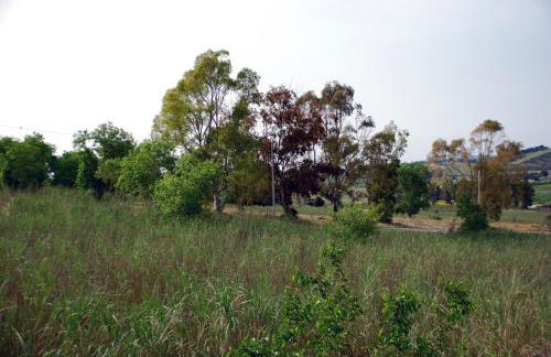 Villa Cipollazzo - Foto 40