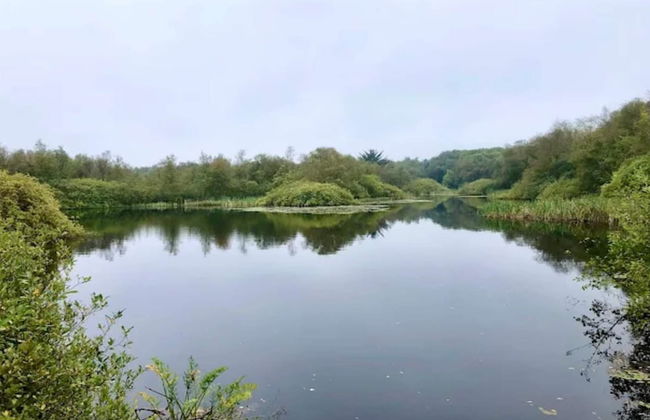 Luxury Lakeside Retreat-by Traum - Foto 51