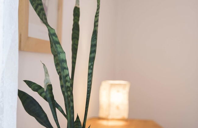 Ferienhaus Dornstetten - Foto 43