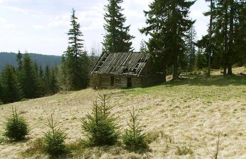 Gospodarstwo Agroturystyczne Watra - Foto 44