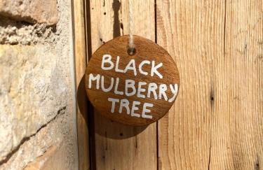 La Corte del Gusto LuxuryApartments - Foto 47