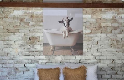 Montblu at Echo Point - Photo 37