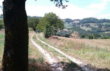 Casa Vacanze Campo d'Arco - Foto 10