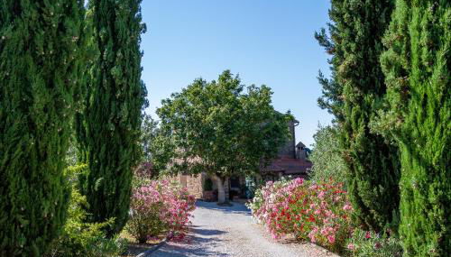 La Bacaia - Foto 4, Garden view