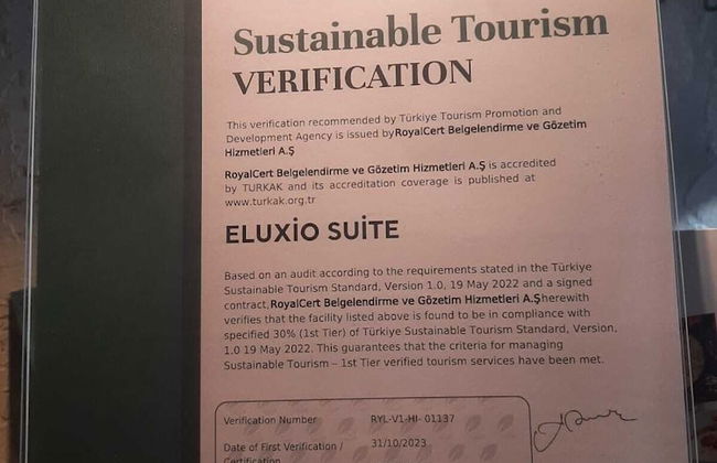 Eluxio Suite Hotel - Photo 69