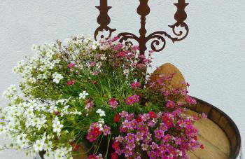 Winzerlodge, Wohnung Kirchberg - Foto 19